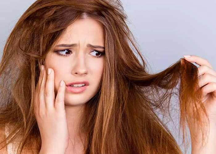 16 Loại dầu gội tốt nhất dành cho tóc khô và hư tổn 